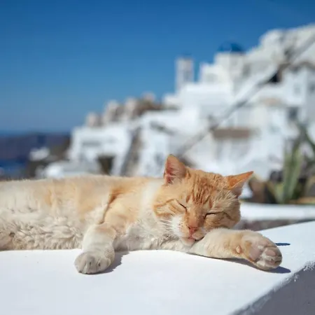 Present Perfect - Private Pool