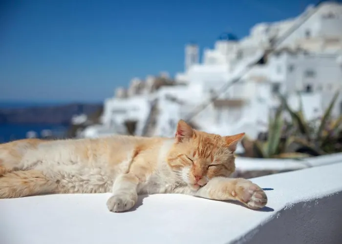 Present Perfect - Private Pool